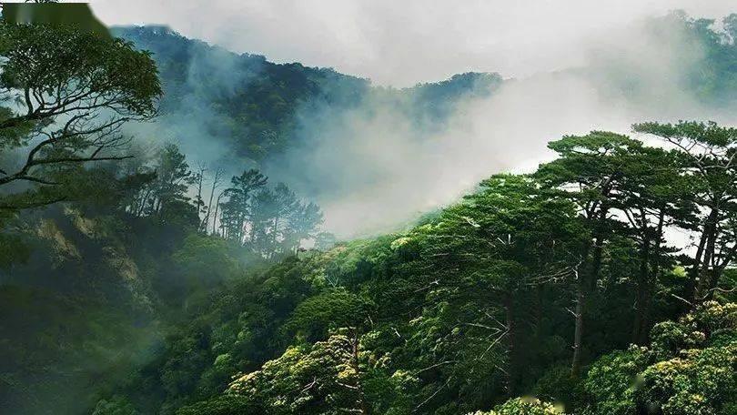市领导到祥符区现场办公